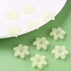 Прозрачные акриловые бусины MACR-S373-117-D03