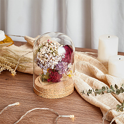 Стеклянный купол&nbsp;AJEW-WH0314-446C