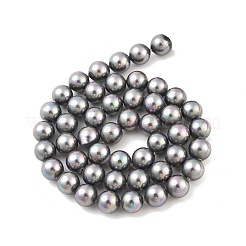 Shell-Perle Perle Stränge&nbsp;BSHE-L025-07-8mm