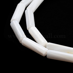 Нити бусин из пресноводных ракушек BSHE-L037-13