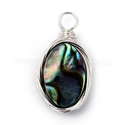 Natürliche Abalone Muschel / Paua Muschel Anhänger&nbsp;PALLOY-JF00457-04
