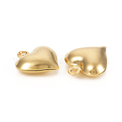 Подвески из нержавеющей стали 304&nbsp;STAS-I149-02G