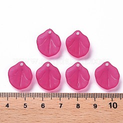 Прозрачные матовые акриловые подвески&nbsp;MACR-S371-02A-706