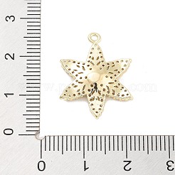 Подвески из латуни с прозрачным фианитом KK-Z061-09G-02