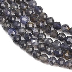 Naturperlen Stränge iolite&nbsp;G-RM250101-D7