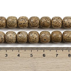 Натуральные бусины из семян рудракши бодхи WOOD-B010-A03-9x10mm