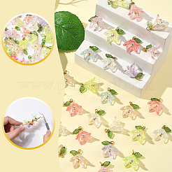 48шт 8 цвета прозрачные акриловые подвески&nbsp;FIND-SC0016-70