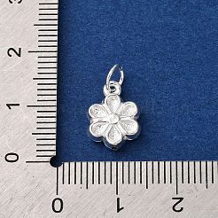 Pendentifs en argent sterling 925&nbsp;STER-P070-02S