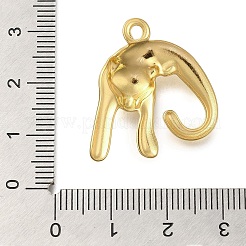 Anhänger aus Edelstahl 304&nbsp;STAS-U027-06G-02
