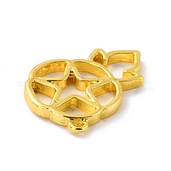 合金空枠ペンダント  UVレジンDIY用  エポキシ樹脂  プレスジュエリー  スター付き花  ゴールドカラー  23.5x17x2mm  穴：1.2mm&nbsp;PALLOY-B006-01G