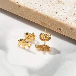 Pendientes de acero inoxidable 304 para mujer&nbsp;LS-STAS-Z117-15G-04