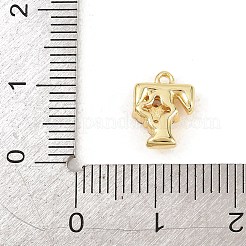 Breloques en laiton zircon cubique transparent&nbsp;KK-Z151-18G-T
