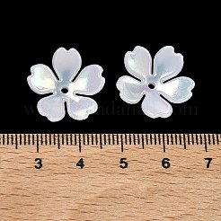 Пластиковые крышки из бисера&nbsp;KY-Z002-05A