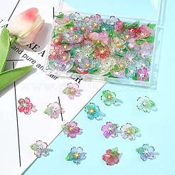 70шт прозрачные акриловые подвески&nbsp;PALLOY-FS00050