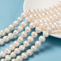 Natural Cultured Freshwater Pearl Beads Strands, Potato, Creamy White, 10~11mm, Hole: 0.8mm, about 37pcs/strand, 13.77 inch~14.17 inch