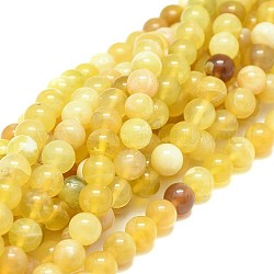 Chapelets de perles en opale jaune naturelle, ronde, Grade a, 8mm, Trou: 0.8mm, Environ 50 pcs/chapelet, 15.35 pouce (39 cm)