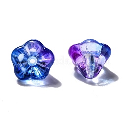 Perles de verre tchèques transparentes, deux tons, fleur, support violet, 10x8mm, Trou: 2mm, environ 120 pcs / sachet 