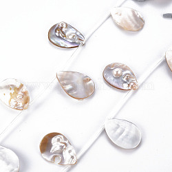 Colgantes de concha de perla, cuentas perforadas superiores, lágrima, color de concha, 34~36x24~26x2~8mm, agujero: 0.7 mm, aproximamente 10 pcs / cadena, 16.14 pulgada (41 cm)