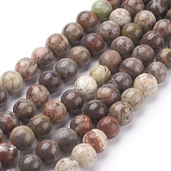 Naturstein Perlen Stränge, Ozean Jaspis, gefärbt, Runde, braun, 6 mm, Bohrung: 1 mm, 15.7 Zoll, ca. 60 Stk. / Strang