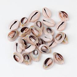 Бусины из натуральных раковин каури, окрашенные, цвет морской раковины, 18~22.5x13~17x6~8 мм
