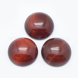 Natürlichen Karneol cabochons, Halbrund, gefärbt, 24.5~25x4~7 mm