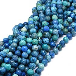 Chapelets de perles en chrysocolle naturelle, ronde, 12~12.5mm, Trou: 1.2mm, Environ 32~34 pcs/chapelet, 15.55 pouce (39.5 cm)