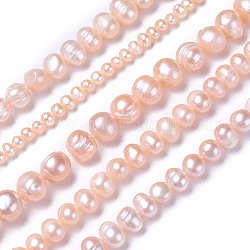 Hebras de perlas de agua dulce cultivadas naturales, patata, rosa, 4~12x4~12mm, agujero: 0.5~1 mm, aproximamente 28~100 pcs / cadena, 13.8 pulgada ~ 15.7 pulgadas (35~40 cm)