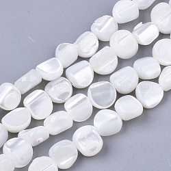 Brins de perles de coquille de trocas, pépites, blanc crème, 6~9.5x7~9.5x4.5~7mm, Trou: 1mm, Environ 49~52 pcs/chapelet, 15.55 pouce ~ 16.02 pouces