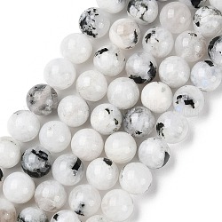 Brins de perles de pierre de lune arc-en-ciel naturel, ronde, 8mm, Trou: 0.8mm, Environ 47 pcs/chapelet, 15.39'' (39.1 cm)