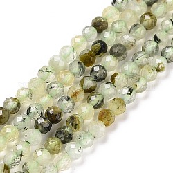 Natural Prehnite Beads Strands, Faceted, Round, 3mm, Hole: 0.6mm, about 126pcs/strand, 15.16 inch(38.5cm)