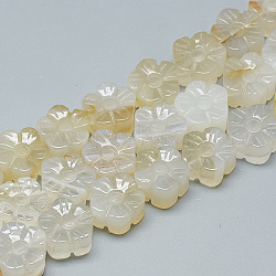 Fili di perle di agata bianca naturale intagliate, fiore di prugna, 13~14x13~14x7~8mm, Foro: 1 mm, circa 16pcs/filo, 8.2 pollice~8.6 pollici