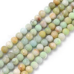 Brins de perles d'amazonite de fleurs naturelles, facette, lumineux, ronde, 8mm, Trou: 1.2mm, Environ 50 pcs/chapelet, 15.55 pouce (39.5 cm)