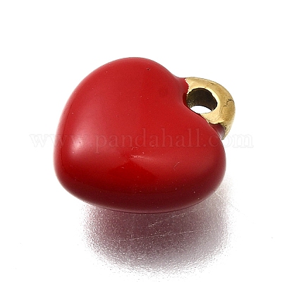 Подвески из нержавеющей стали 304 с эмалью STAS-Z163-24G-01-1