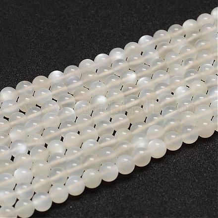 Natürlichen weißen Mondstein Perlen Stränge G-F306-05AB-6mm-1