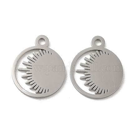 304 Stainless Steel Charms STAS-J042-16P-1