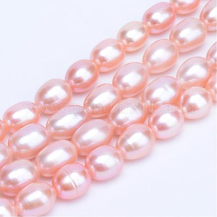 Natural Cultured Freshwater Pearl Beads Strands PEAR-R063-31C-1