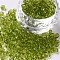 Glass Seed Beads, Transparent, Round, Green Yellow, 6/0, 4mm, Hole: 1.5mm, about 300 beads/30g
