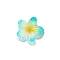 Plastic Claw Hair Clips, Hair Accessories for Women & Girls, Flower, Cyan, 40mm