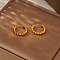 Elegant Stainless Steel Hoop Earrings, Golden, Ring