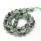 Natural Green Lodolite Quartz Beads Strands G-D580-6mm-2