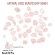 SUNNYCLUE Natural Rose Quartz Chip Beads G-SC0001-25-2