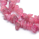 Natural Tourmaline Beads Strands G-P332-67-3