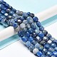 Chapelets de perles en aventurine bleue naturelle G-C038-02D-2
