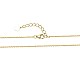 925 подвесные стерлингового серебра ожерелья NJEW-BB34176-5