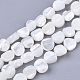 Trochus Shell Beads Strands SHEL-T016-10-1