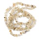 Natural Gold Rutilated Quartz Beads Strands G-G0003-B19-3