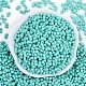 Выпечка краска стеклянные бусины X1-SEED-K010-A19-3