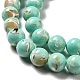 Synthetic Turquoise and Sea Shell Assembled Beads Strands G-D482-01A-08-4
