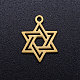201ステンレス鋼ペンダント  ユダヤ人のために  ダビデの星  ゴールドカラー  16x12x1mm  穴：1.5mm STAS-Q201-JN311-2-1