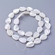 Chapelets de perles de coquillage SSHEL-E571-23A-2